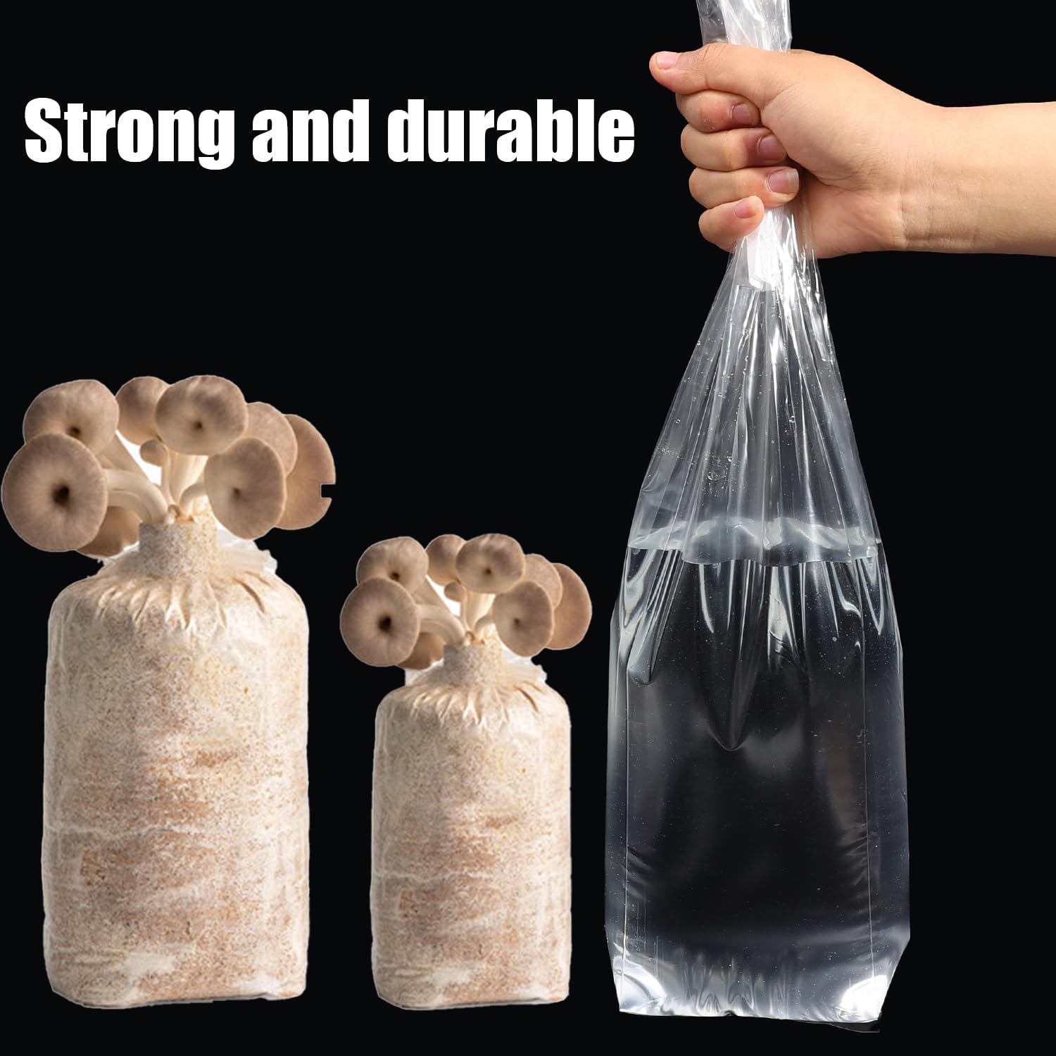 Mushroom Spawn Bag - Sac de culture de champignons Spawn,