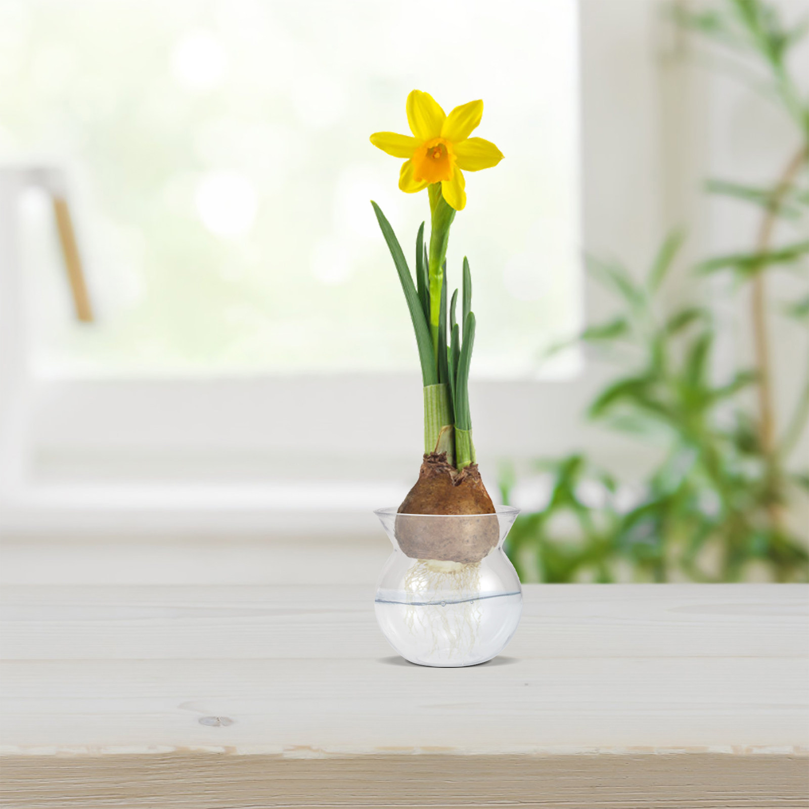 6 pots à fleurs miniatures tra - Seed Planter avis et prix