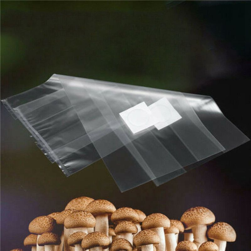 Y50A-250Pcs Sacs de culture de - Mushroom Spawn Bag avis et prix